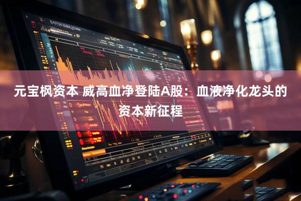 元宝枫资本 威高血净登陆A股：血液净化龙头的资本新征程