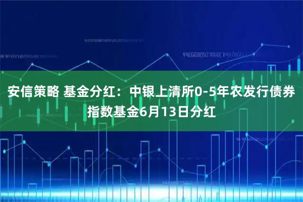 安信策略 基金分红：中银上清所0-5年农发行债券指数基金6月13日分红