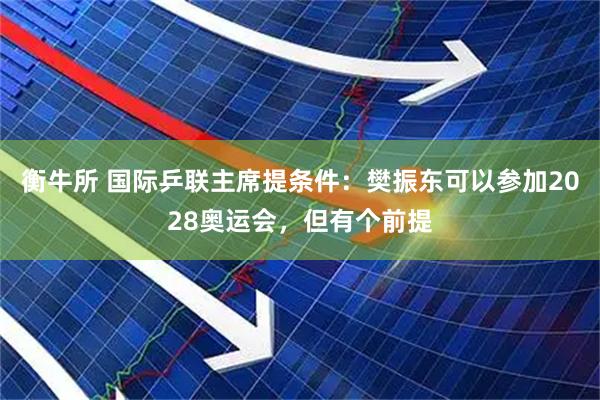 衡牛所 国际乒联主席提条件:樊振东可以参加2028奥运会,但有个前提