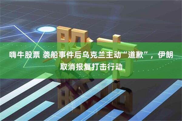 嗨牛股票 袭船事件后乌克兰主动“道歉”，伊朗取消报复打击行动